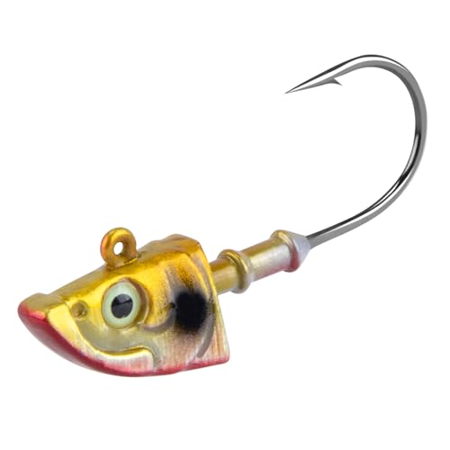Dr.Fish 10 Pack Swimbait Jig Heads, Saltwater Fishing Jig Heads Minnow Style 3D Eyes Lead Weighted Hooks for Bass Walleye Flounder Striper Halibut Pompano Fishing, Gold 3/16oz