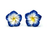 Miniblings