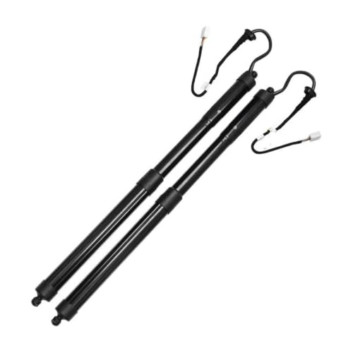 Hayon électrique 68910-42060 support de levage pour RAV-4 2019-2022