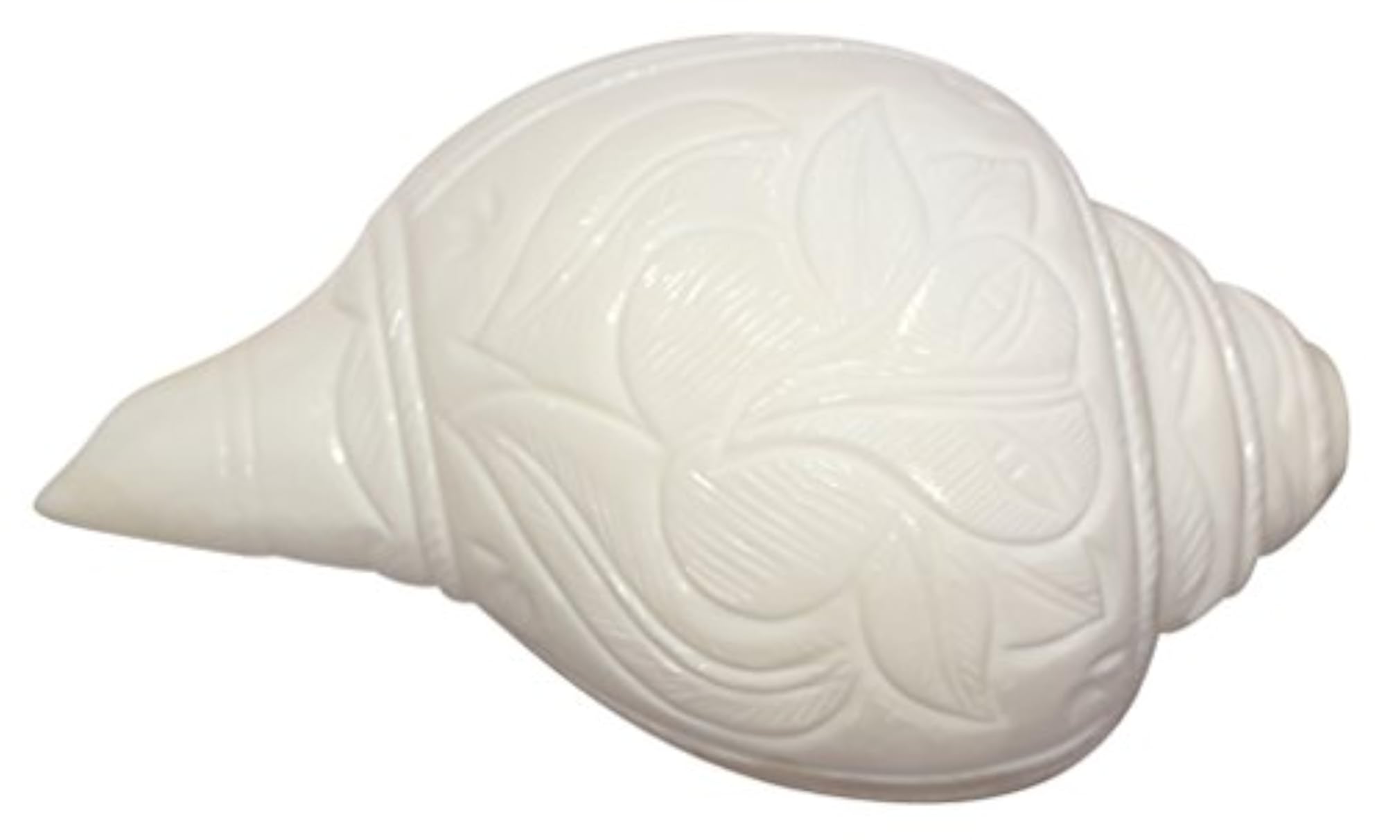 Conch Shell Shanq for Puja and Décor