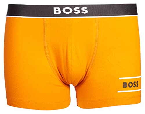 BOSS Trunk 24 Logo