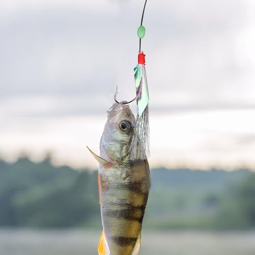 10 Stück Makrelenfeder-Rigs mit leuchtenden Perlen, bionische Fliegende Insekten, Köder für Makrelen, Seelachse, Hering, Barsch