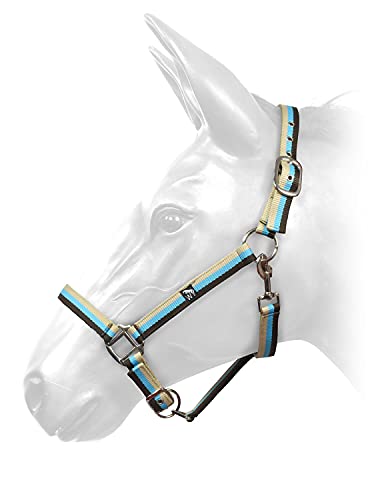 W-Horse Harvey Striped Horse Headcollar (Cob) (Brown/Turquoise/Beige)