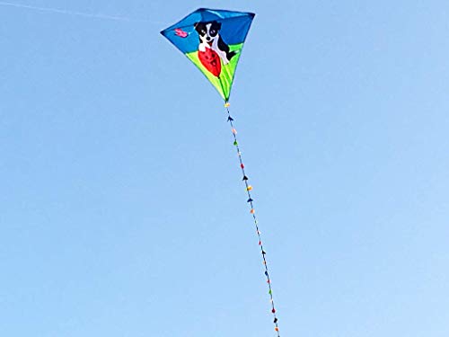 ZHUOYUE Single Line Diamond Kite for Kids, 31 Inch Easy to Fly Kites with Long Tail and Kite String