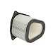 Hiflofiltro HFA3906 Premium OE Replacement Air Filter