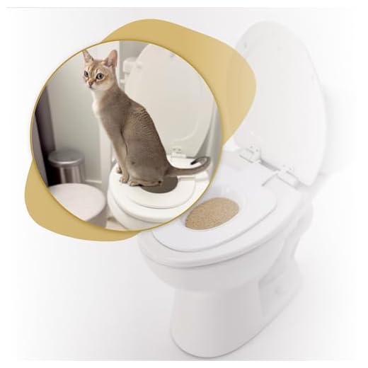 The Cat Throne Toilet Training Kit