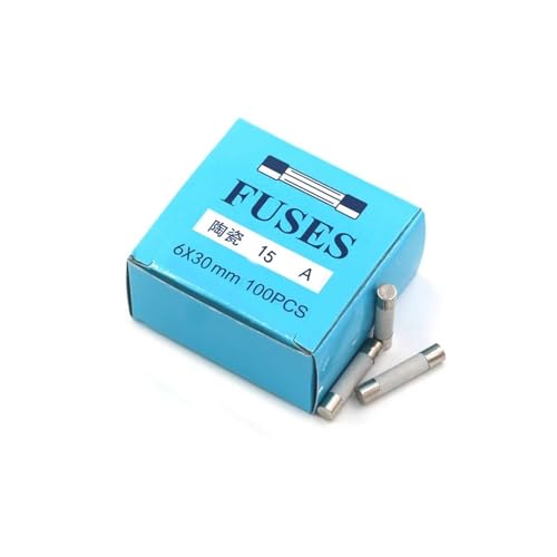Elektrische Keramiksicherungen, keramische Haushalts-Netzsicherungen, 10 Stück, schnell durchbrennend, verschiedene Größen, 0,5 A bis 30 A, 250 V(0.25a)