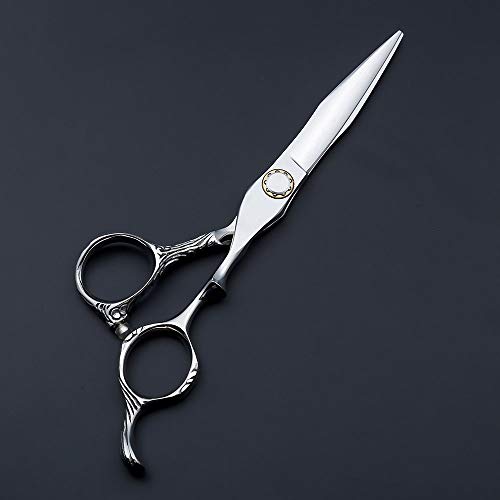 Ciseaux de coiffure ensemble 2 pièces : ciseaux de barbier coupe effilage argent 6" - 5