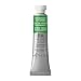 Winsor & Newton Professional Water Colour Paint, 5ml tube, Permanent Sap Green