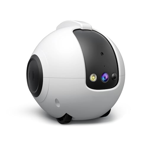 Robot intelligent pour chat afin d'éviter l'ennui de votre animal domestique seul à la maison