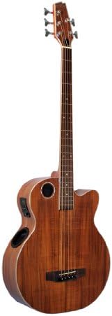 Boulder Creek Guitars EBR6-N5 5-Strings Acoustic-Electric Guitar, Natural Finish
