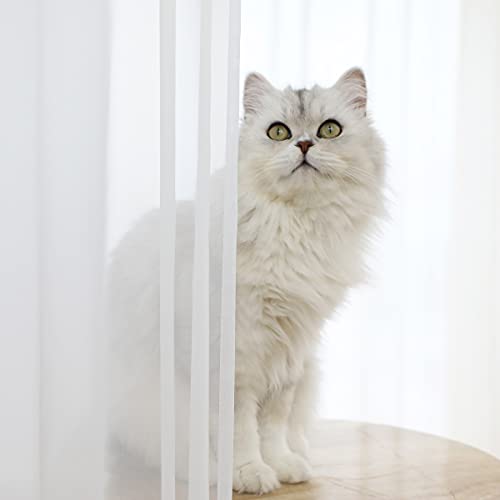 Image of Window White Sheer Curtains 52x84.01 Inches Long 2 Panels Sheer Curtains Clear Curtains Basic Rod Pocket Panel for Home /Living Room /Bedroom /Kids Room