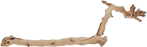 Exo Terra Planta con Base Forest Branch Grande, 60 cm