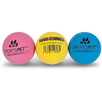 sportspet ball