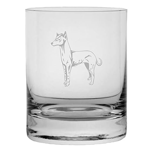 Peruvian Hairless Dog Personalized Custom Etched 10.25oz Crystal Rocks Whisky Glass