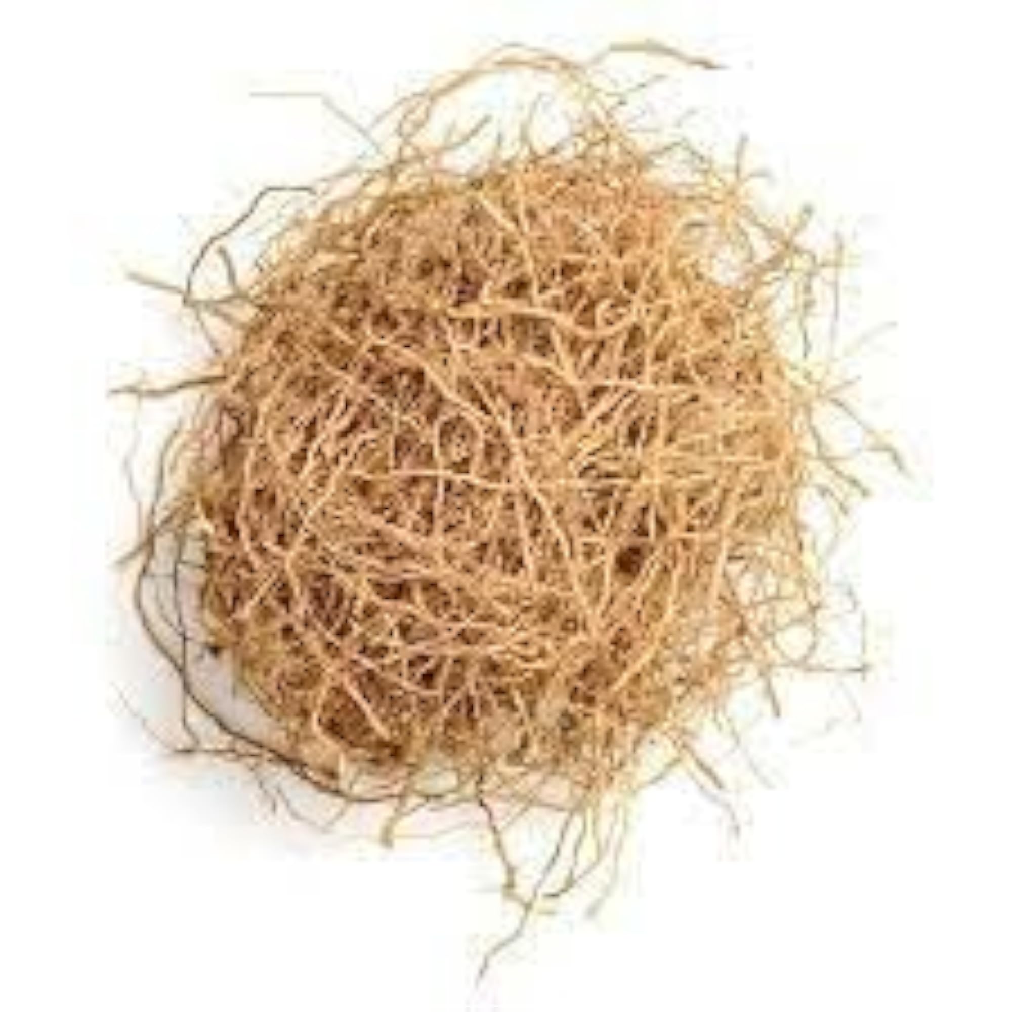 Dried Vetiver Roots, 40g, Gut Cooling Herbal Remedy
