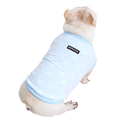 t`uhbN  ^Ngbv pO hbOEFA t  H Ctu i[ 킢    [EFA іh~ ^ ^ Č gCv[h ` ^km427t