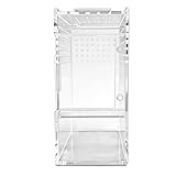 Terrario para arañas saltadoras, piscinas de reptiles con ventilación...