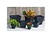 ArtStone Root & Vessel, Black, 35128 Ella Square Planter, 12, Inch