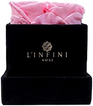 Preserved Roses in A Box | Real Pink Roses That Last for Years | Gifts for Her - Wife, Mom, Sister| Valentine's Day, Anniversary, Birthday, Mother's Day and Birthdays