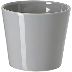 Macetero Ikea Gris Ikea SKOGSVINBÄR - Macetero (9 cm), color gris