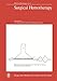 Surgical Hemotherapy (Bibliotheca Haematologica)