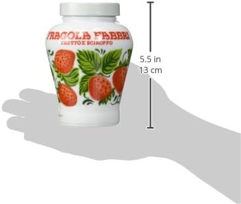 スプリングフェア ファッブリ フラーゴラ いちご シロップ漬け 600g 6個セット 2451 春バーゲン Www Medicinfo Ro