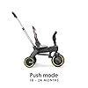Doona Liki Baby Trike S1, Blush Pink Foldable Trike with Parent Handle, Multi-Position Recline, Durable Wheels, UPF 50+ Canopy, Tricycles for 1-3 Year Olds, Perfect for Toddlers #3