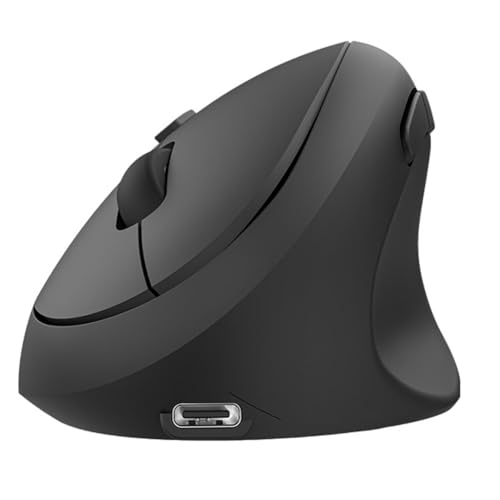 ISTOVO RatóN ErgonóMico Vertical InaláMbrico Bluetooth, Recargable, Clics Silenciosos, 1600 dpi Ajustables, ConexióN 2.4G