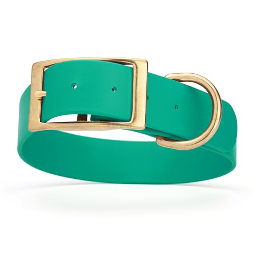 Image of Viper Biothane Heavy Duty Waterproof Dog Collar Strong Coated Nylon Webbing w /Solid Brass Hardware Odor-Proof Easy to Clean High Performance Fits Small Medium or Large Dogs, Teal