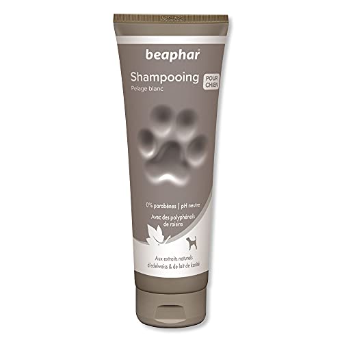 BEAPHAR – Shampoing premium pour chien au pelage blanc – Extraits Naturels d'Edelweiss, de Lait de Karité – Ravive l'éclat du pelage et protège du jaunissement – pH neutre et sans parbens – 750 ml
