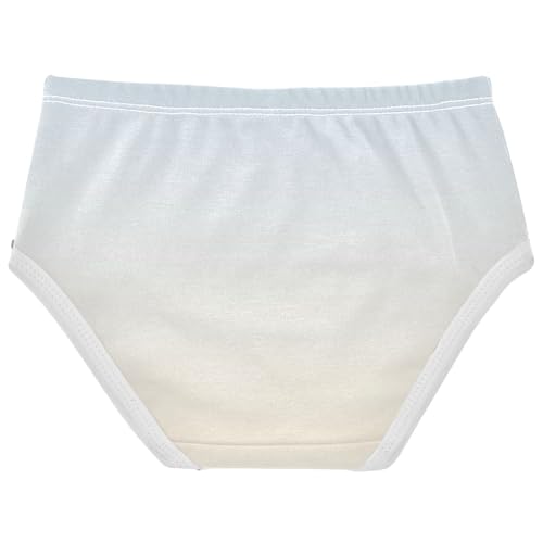Joisal Elegant Blue Papaya Whip Gradient Panties Little Girl Girls Underwear Toddler Cotton Fancy Briefs Underpants 2t2