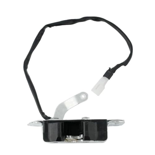 Serrure hayon coffre pour Dyna 2007-2010 loquet de porte arrière 69350-95J01