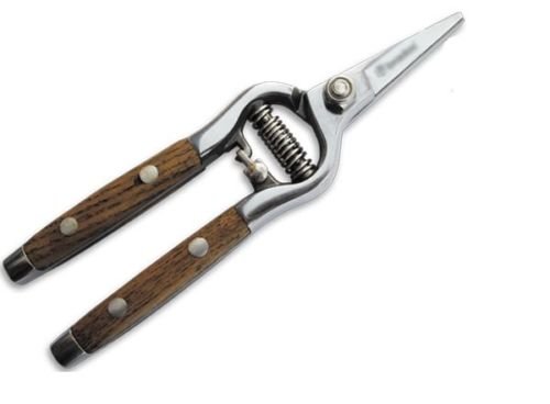 Preisvergleich Produktbild Generic YC-DE2-160723-45 elstahllumenschere Blumenschere Profi Gartenschere Astschere Rosenschere Edelstahl Profi Garte