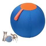 Pawyzie LentivaNorden Original Treibball, Treibball Für Hunde, Interaktives Hundeball für Innen und Außenbereich (Blau,L:65CM)