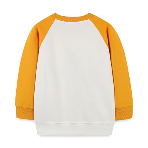 Boys Sweatshirts Long Sleeve Sweatshirts T-shirts Crew Neck Cotton Casual Sweatshirts Cartoon Tops for Boys-852