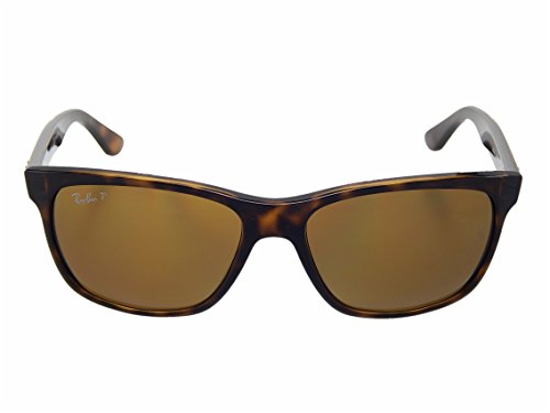 Ray Ban RB4181 710/83 Tortoise/Brown Polarized 57mm Sunglasses2