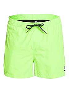 Quiksilver Homme Everyday Volley 15 Short De Bain, Vert, M EU