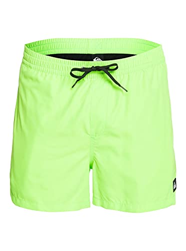 Quiksilver Everyday 15' - Schwimmshorts für Männer , Green Gecko , L