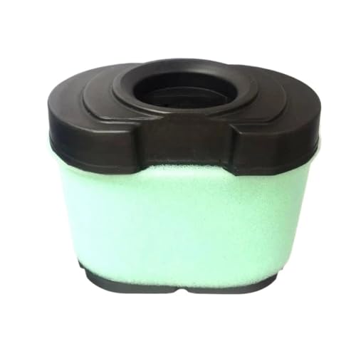 Filtre à air pour Loncin LC2P80 LC2P82 2P80 2P82 de nettoyeur