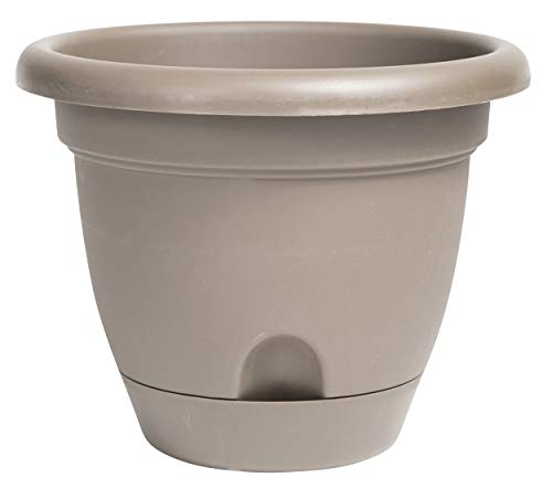 Bloem LP0883 Lucca Self Watering Planter w/Saucer 8" Pebble Stone, 8" #1