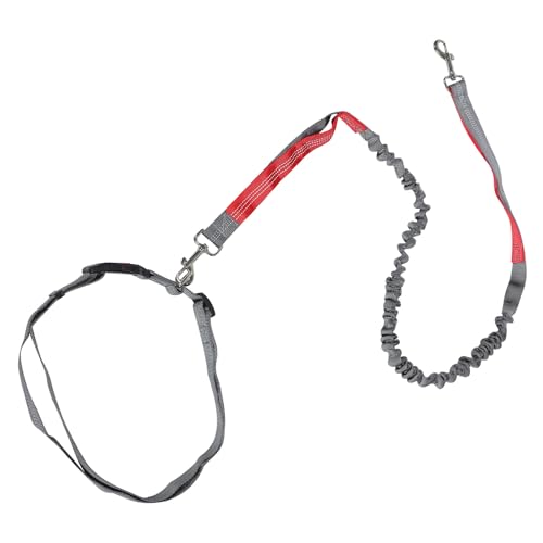 iplusmile jOp߉\p[h nY gNV[v vȑϖՃ|GXe _uNbvŗ܂h~ ^