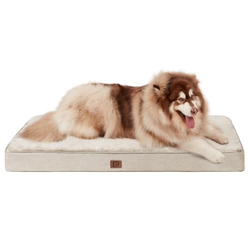 View of Best Memory Foam Dog Bed Liners for Ultimate Comfort and Support ...