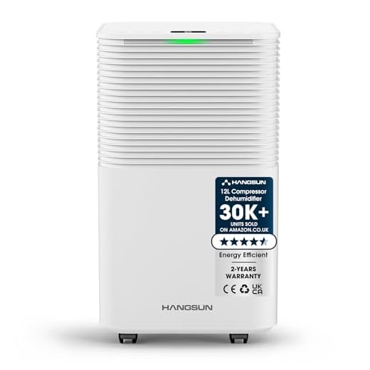 Hangsun 12L Dehumidifier with Digital Humidity Display