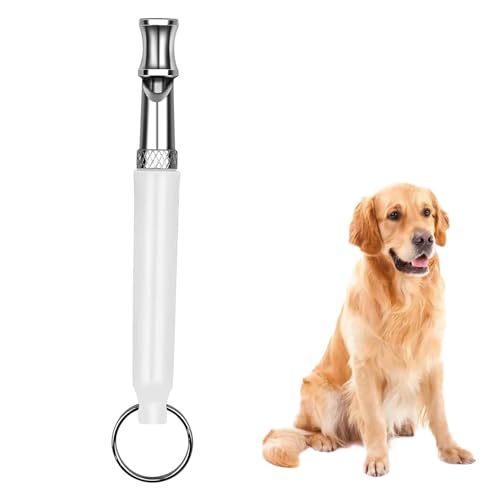 J î~߂אl  Lg g É  zCbX 1 [hXgbv 1pbN ybgzCbX zCg