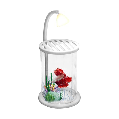 Fish Tank – 9,65 pulgadas Decorative Mini Tanks for Home, Compact Lighted Glass Aquariums with Thickened Ornament Design, Glass Aquarium for Offices Classroom Table Living Space Decor