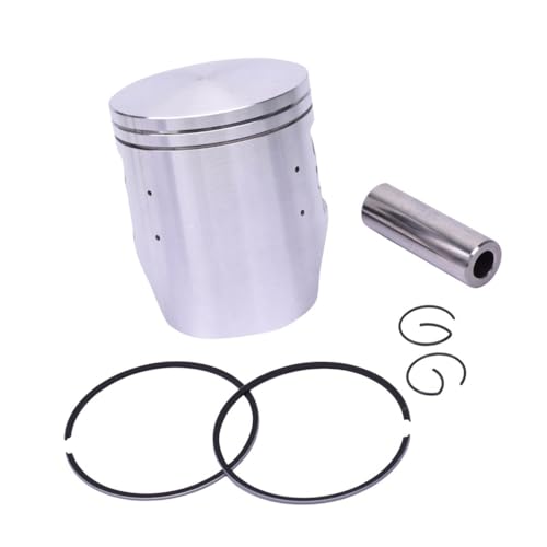 67mms 19mm 75.5mm STD I[goC 1CGWsXgOLbg CRM250 CRM 250ɓK(1.0 piston and ring)