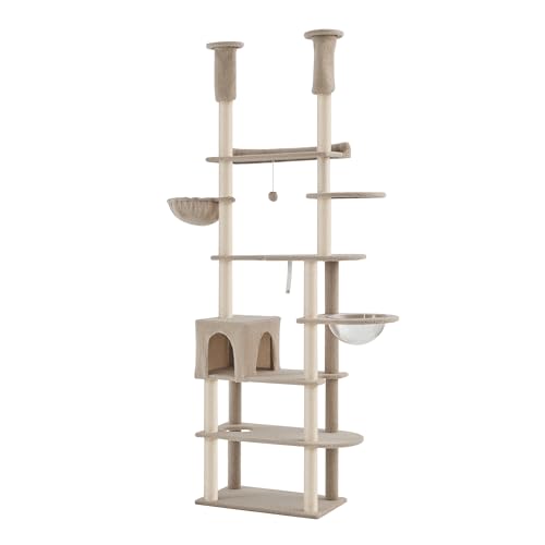 MOTASAN LLbg^[ ˂ O S223`244cm  Vv ȃXy[X  FD nbN ^L VjA qL ܂Ƃ|[ B LbgnEX L^[ Lxbh (񂸐F, S223`244c