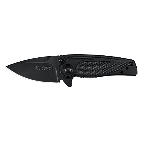 Kershaw Spoke Pocket Knife, 2" 4Cr14 Steel Blade With Blackwash Coatin, Compact Assisted-Opening Edc #TOP1