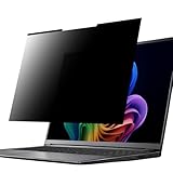 LOE(ロエ) 薄型 マグネット式 覗き見防止フィルター 13.3インチ 16:9 プライバシーフィルター ブルーライトカット 反射防止 覗き見防止フィルム (294x170mm) 1枚